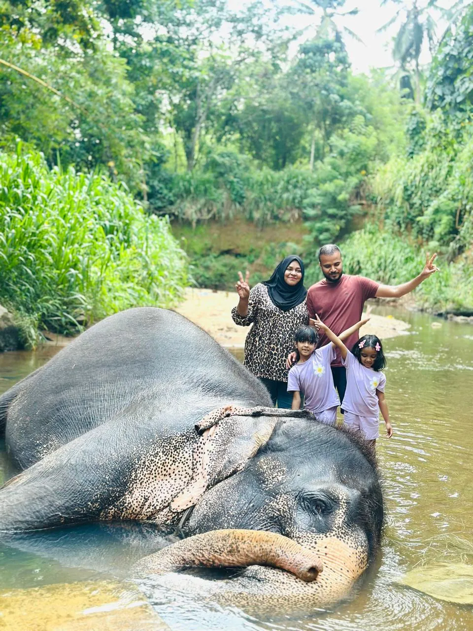 Supplied guest travel photograph 26