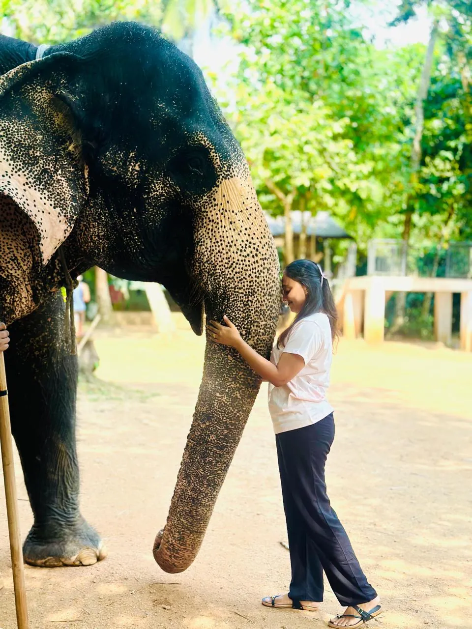 Supplied guest travel photograph 29